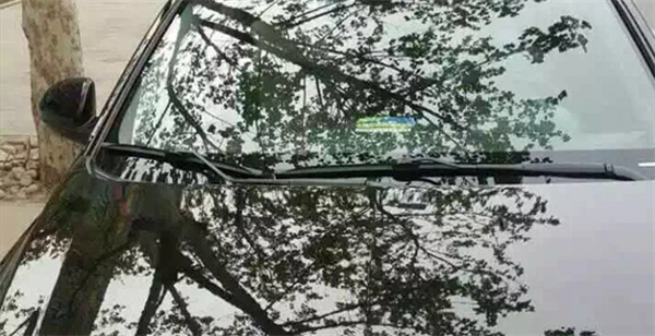 梅特莱斯加盟费