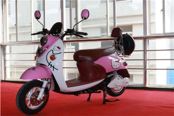 瑷尔电动汽车加盟