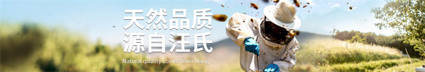汪氏蜜蜂园加盟