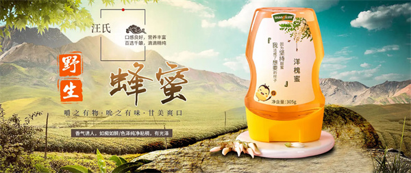 汪氏蜜蜂园加盟
