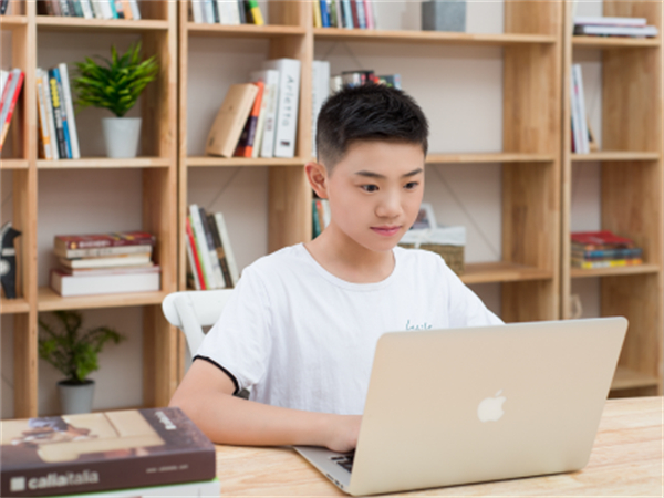 西瓜创客少儿编程加盟