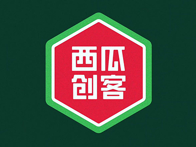 西瓜创客少儿编程加盟