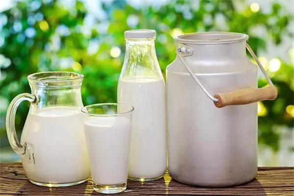 奶牛梦工厂加盟