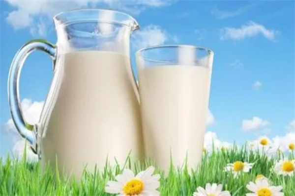 奶牛梦工厂加盟