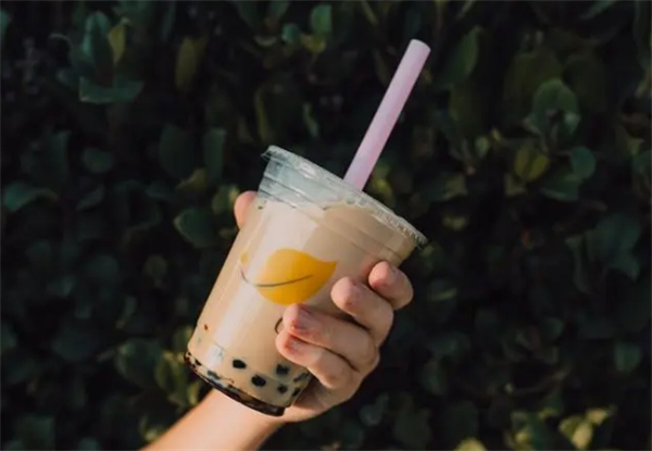 大茶杯加盟费