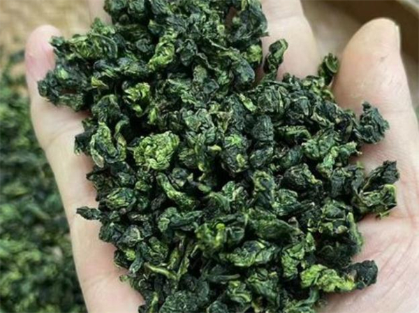 安溪铁观音茶加盟