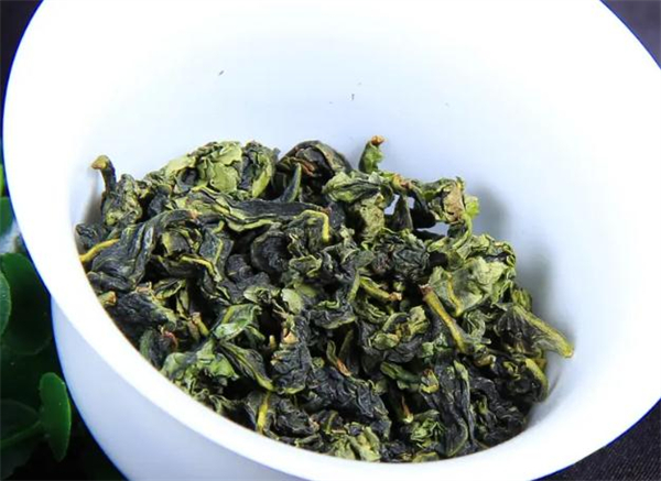 安溪铁观音茶加盟