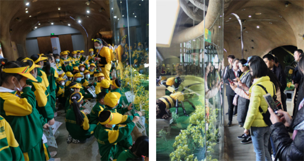 北京蜜蜂堂加盟