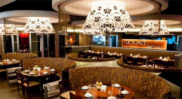 小天鹅火锅加盟