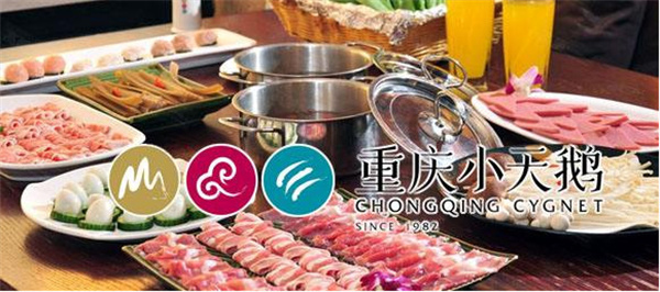 小天鹅火锅加盟