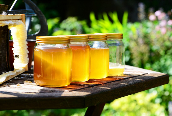 北京蜜蜂堂加盟