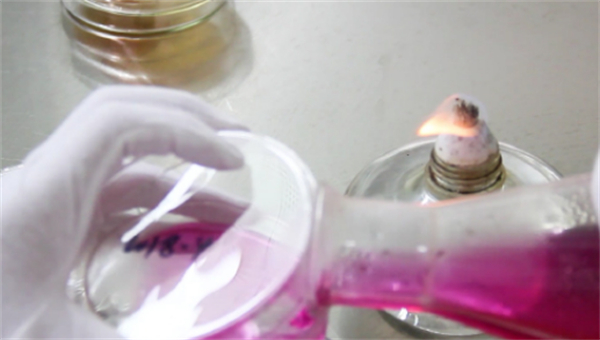 北京蜜蜂堂加盟