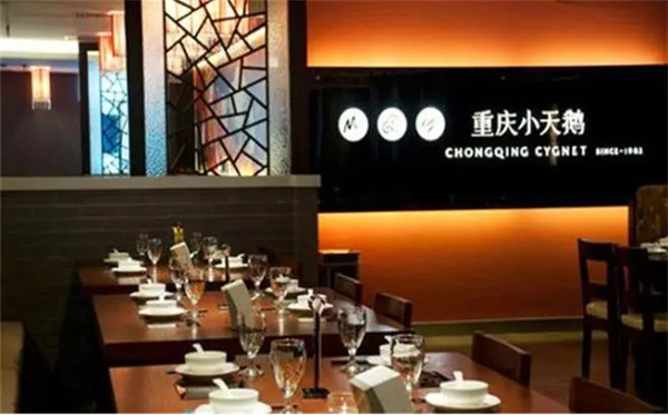 小天鹅火锅加盟