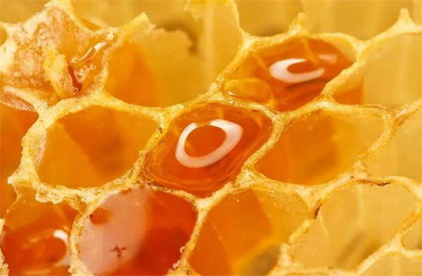 北京蜜蜂堂加盟