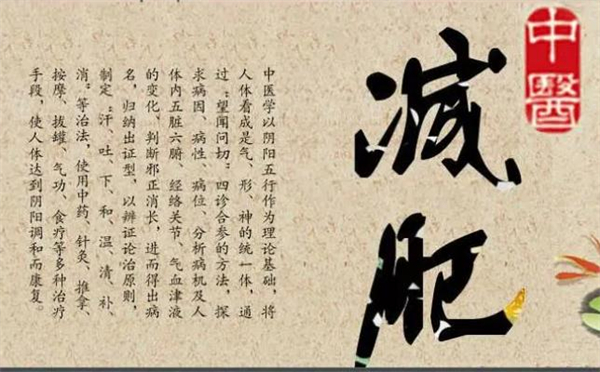 中医减肥连锁加盟