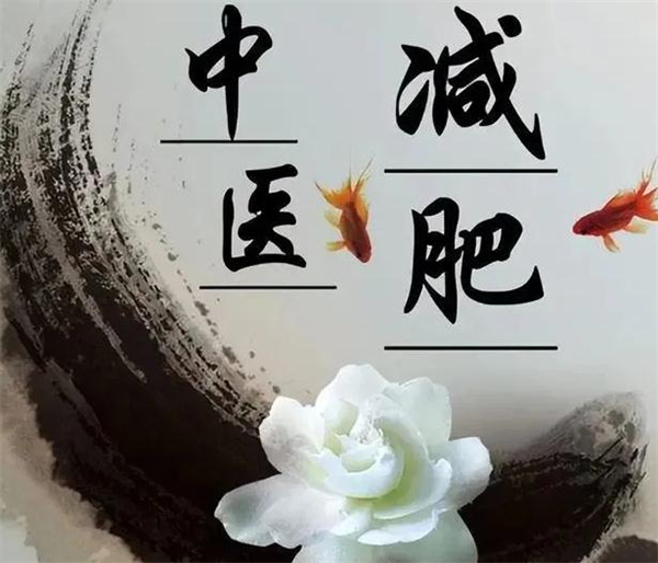 中医减肥连锁加盟