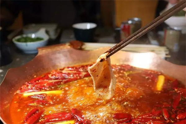 喜烫加盟费