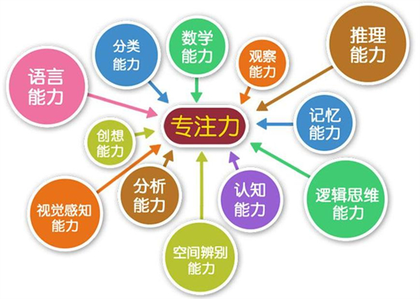 注意力训练培训班