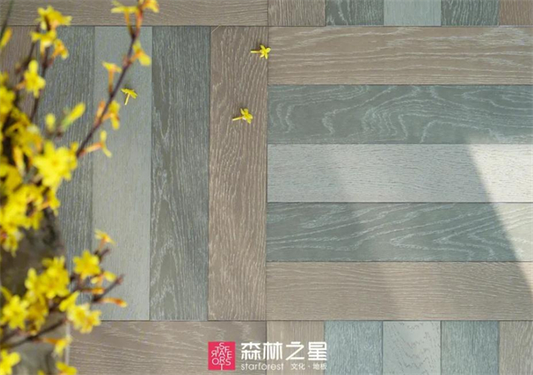 森林之星地板加盟