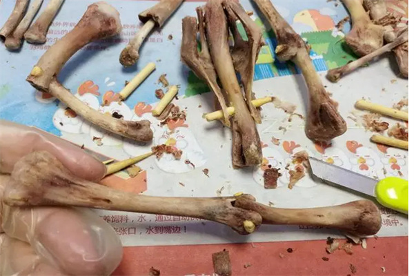 废骨头回收加盟