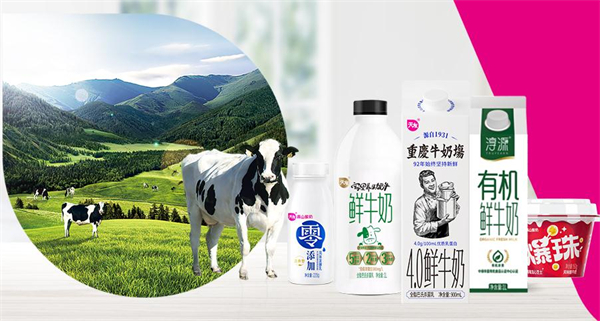 天友鲜奶配送到家加盟