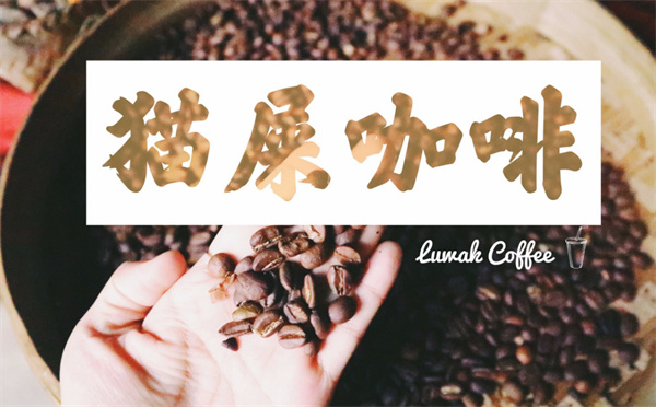 猫屎咖啡加盟