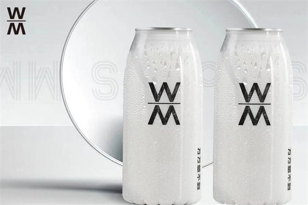 万万想不到椰子水加盟费