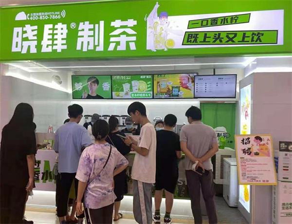 晓肆制茶加盟费
