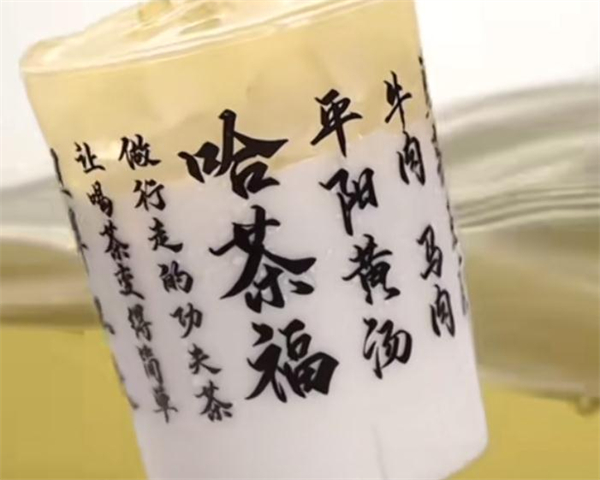 哈茶福加盟费