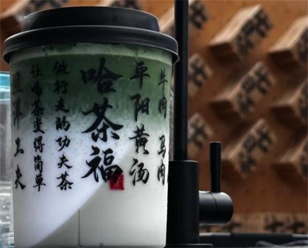 哈茶福加盟费