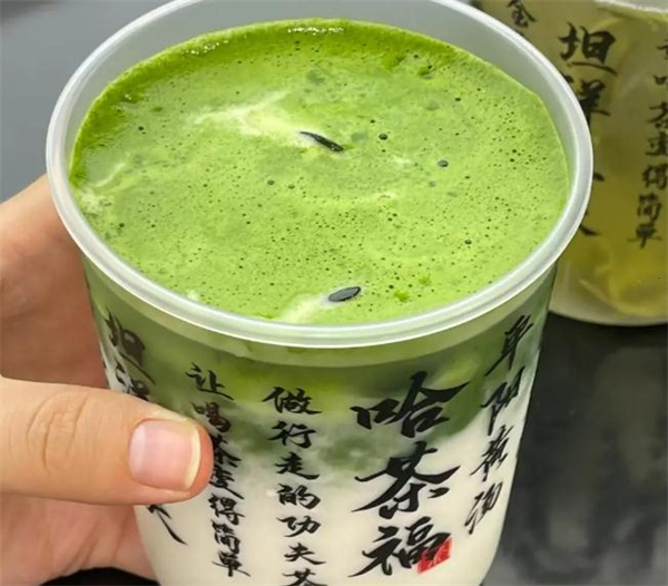 哈茶福加盟费