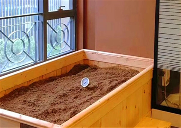 红豆杉酵素浴加盟