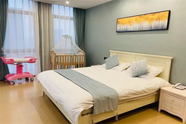 爱玛月子中心加盟