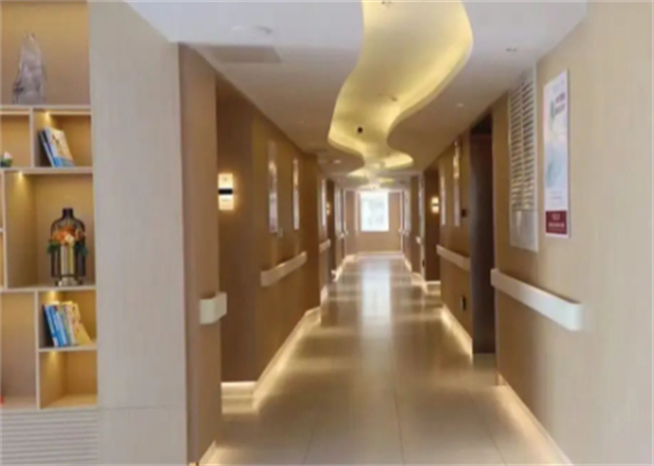 雪绒花月子中心加盟