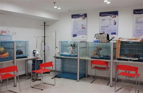 宠物医院加盟