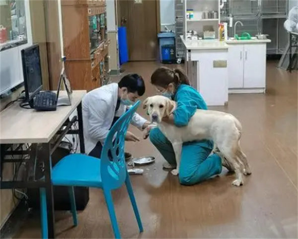 宠物医院加盟