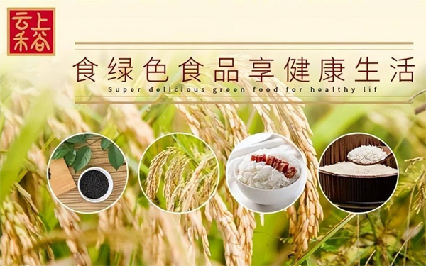 云上禾谷粮油加盟