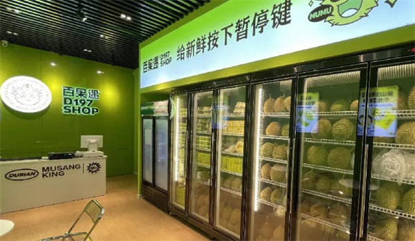 百果遇猫山王榴莲体验店加盟