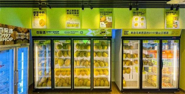 百果遇猫山王榴莲体验店加盟