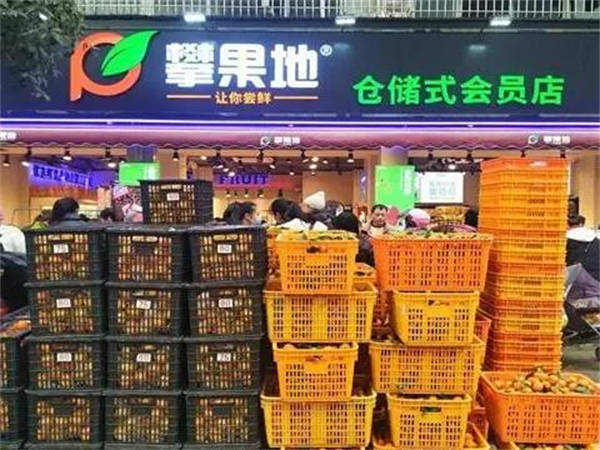 攀果地水果店加盟费