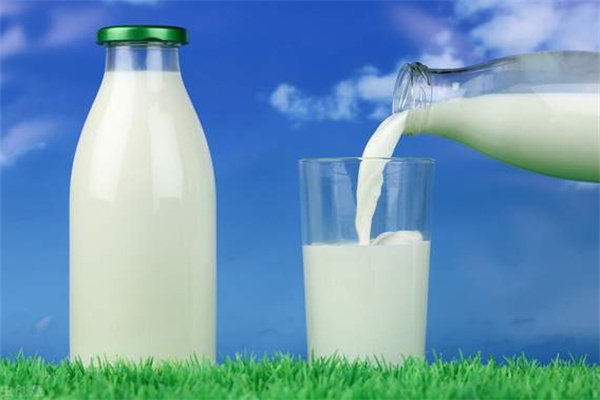 奶动力牛奶直供站