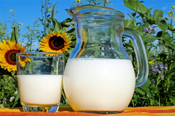 奶动力牛奶直供站