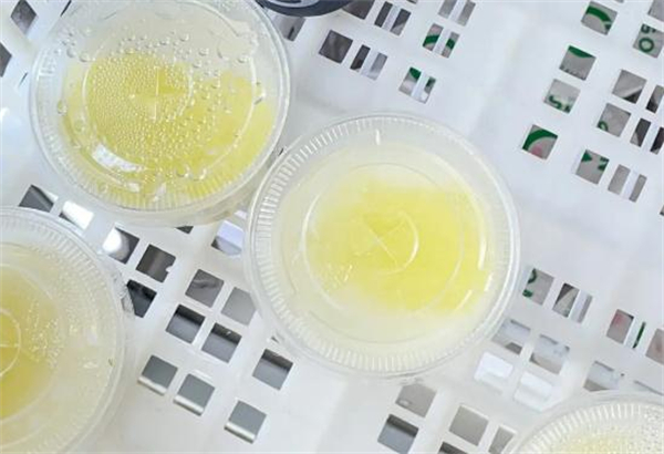 自助糖水店加盟