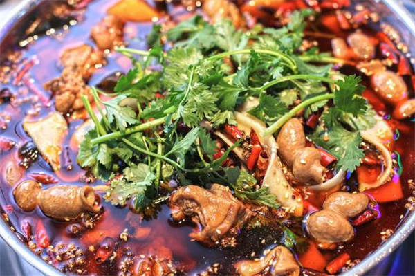 川大刘肥肠鸡加盟费