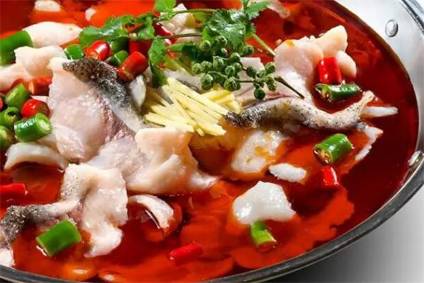 龙门飞鱼加盟有哪些条件？