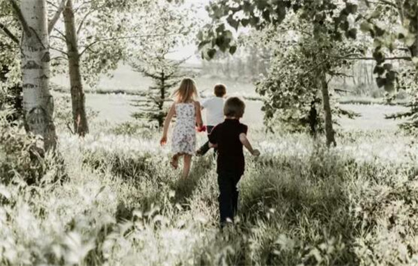 多特儿童专注力训练有哪些？