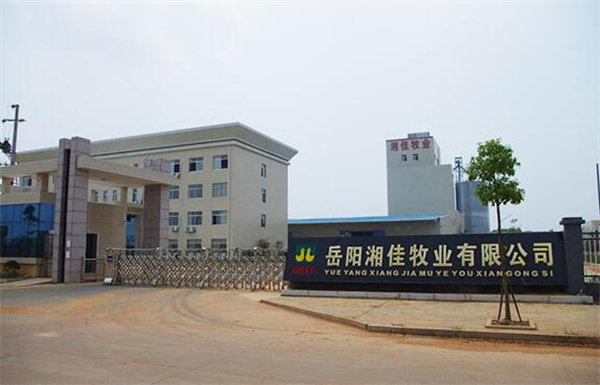 湘佳牧业养鸡加盟