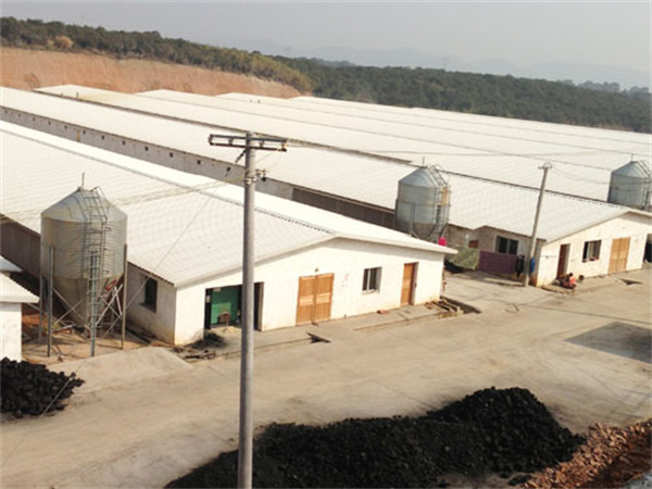 湘佳牧业养鸡加盟