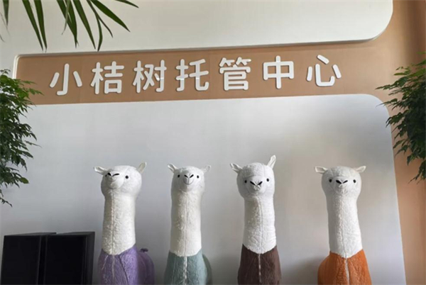 小桔树少儿托管中心