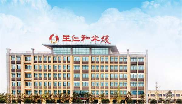 王仁和米线加盟